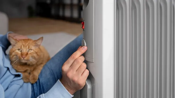 Фото: freepik.com