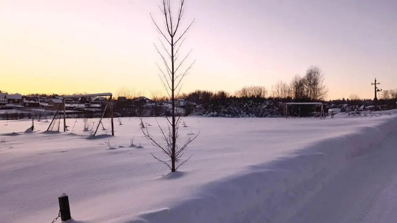 REGIONS/Кристина Тришина