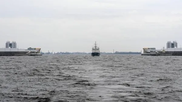 Ученые бьют тревогу: в Финском заливе обнаружено высокое содержание микропластика