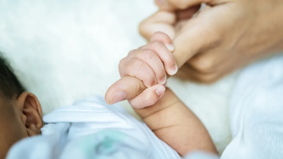 Фото: freepik.com