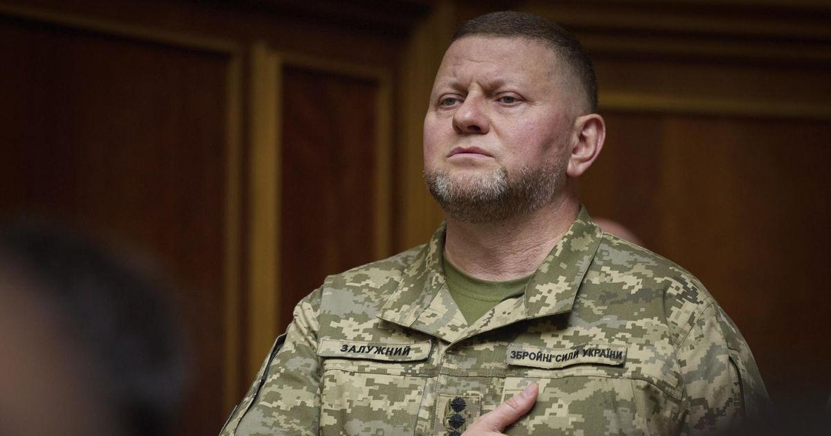 Политолог Журавлев допустил, что Залужного прослушивали по политическим мотивам