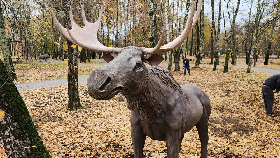 Фото: Министерство благоустройства Московской области