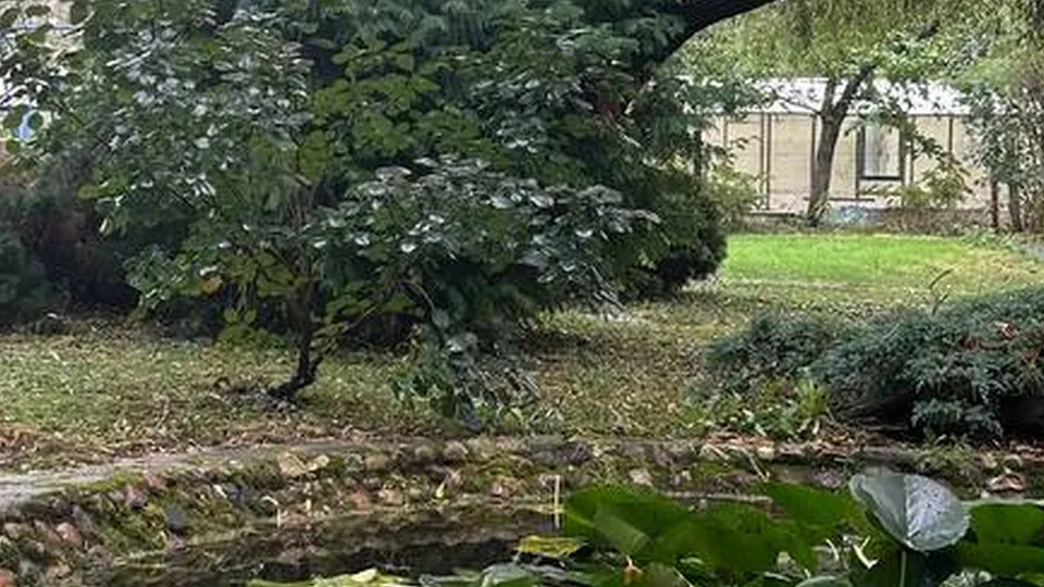 Фото: Александра Серова