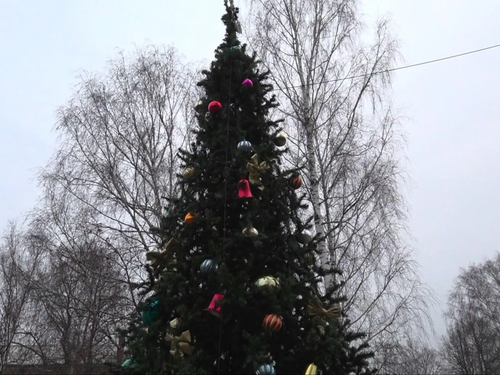 Фото: Раменский медиацентр