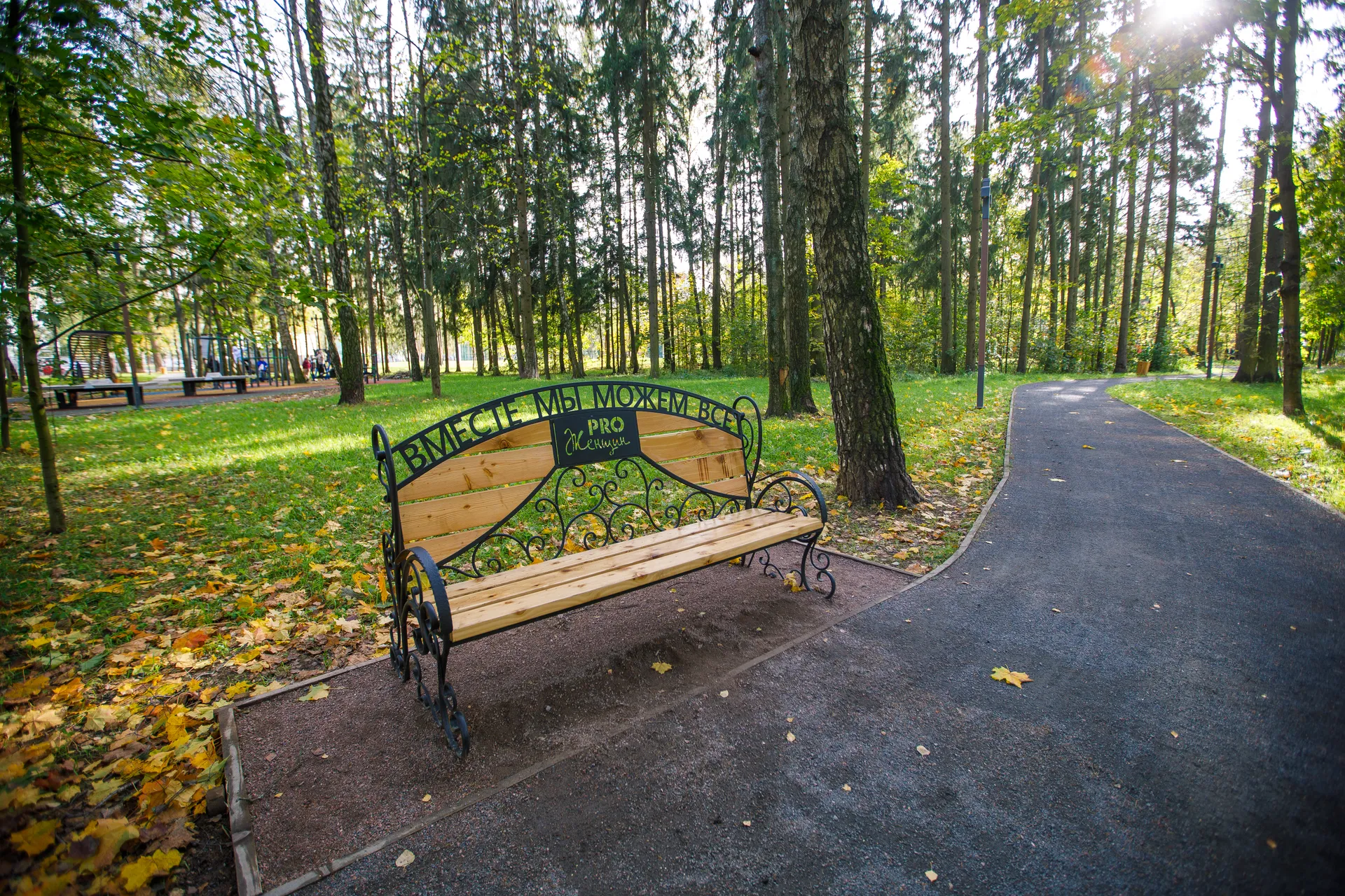 Краснознаменск. Лавочка в парке «Беличий»