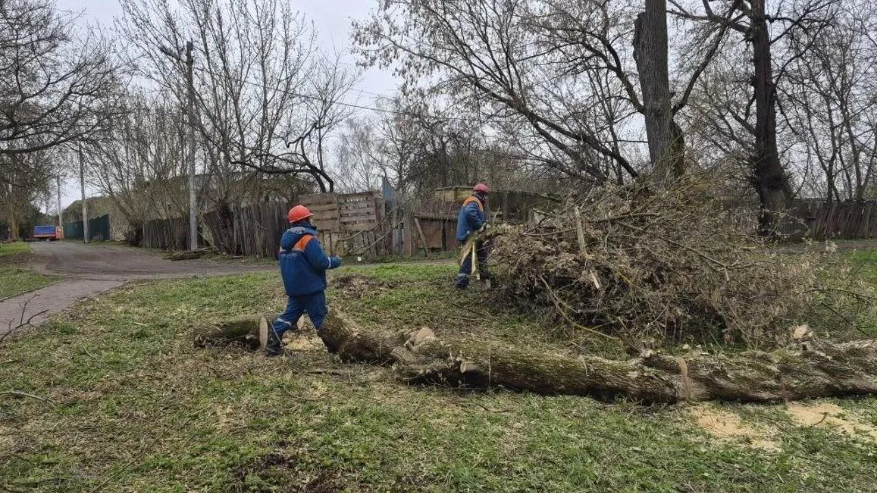 Энергетики «Мособлэнерго» завершают работы по ликвидации последствий циклона в Подмосковье