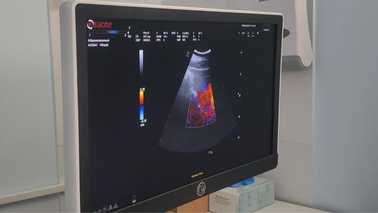 МедиаБанк Подмосковья/Наталья Лымарь