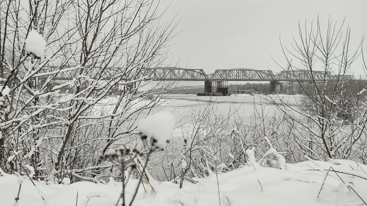 фото: Алексей Селиверстов/Серпуховские вести