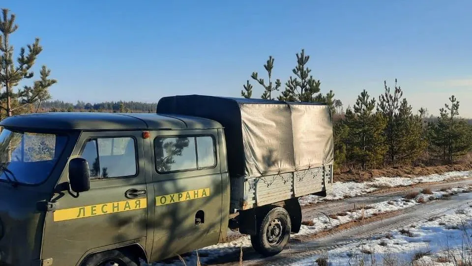 Фото: Комитет лесного хозяйства Московской области