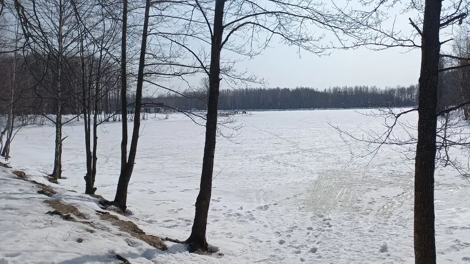 Фото: REGIONS/Олег Книжник