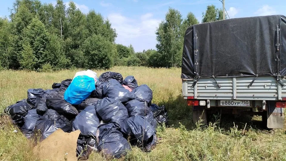 Фото: Комитет лесного хозяйства Московской области