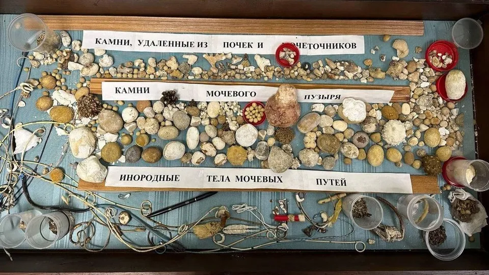 Фото: Минздрав МО