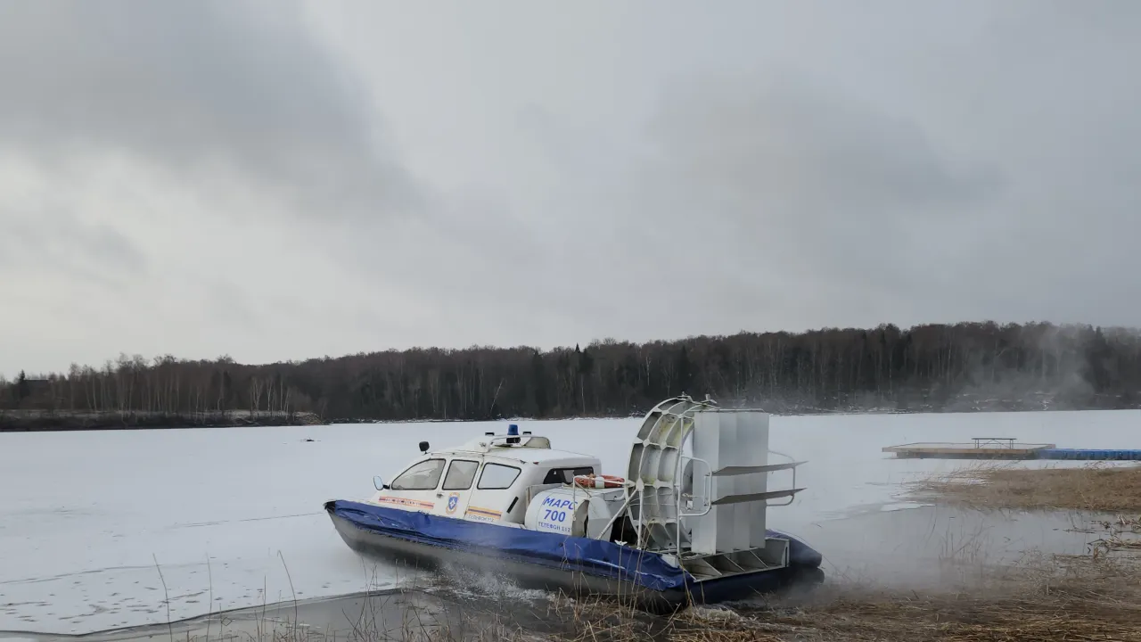 МедиаБанк Подмосковья/Екатерина Данилина