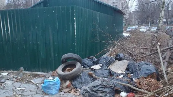 Почти 1,4 тыс нарушений чистоты выявлено в Подмосковье за неделю