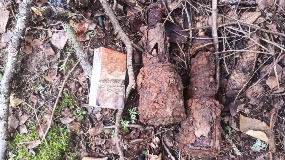 Фото: ГКУ МО «Мособлпожспас»