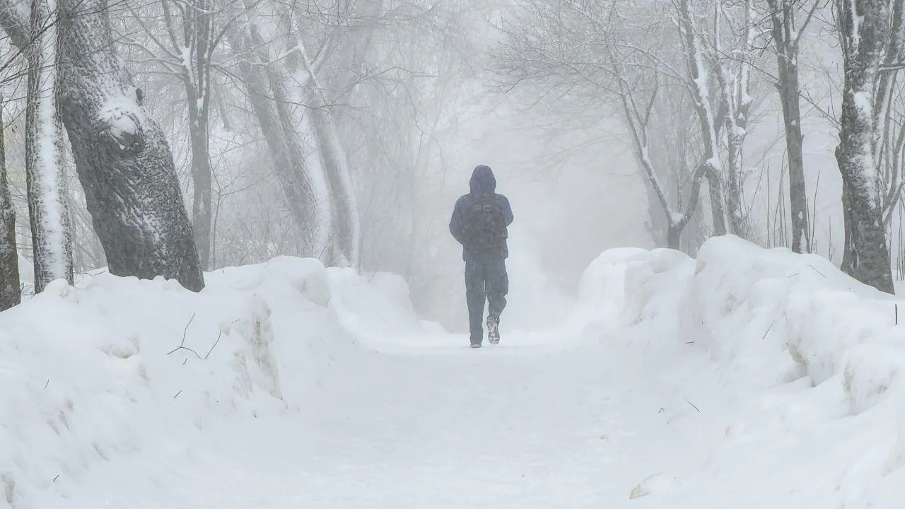 МедиаБанк Подмосковья/Яна Шаливская