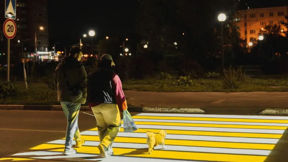 Фото: пресс-служба администрации г.о. Лосино-Петровский