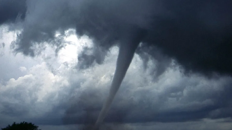 Фото: pxhere.com