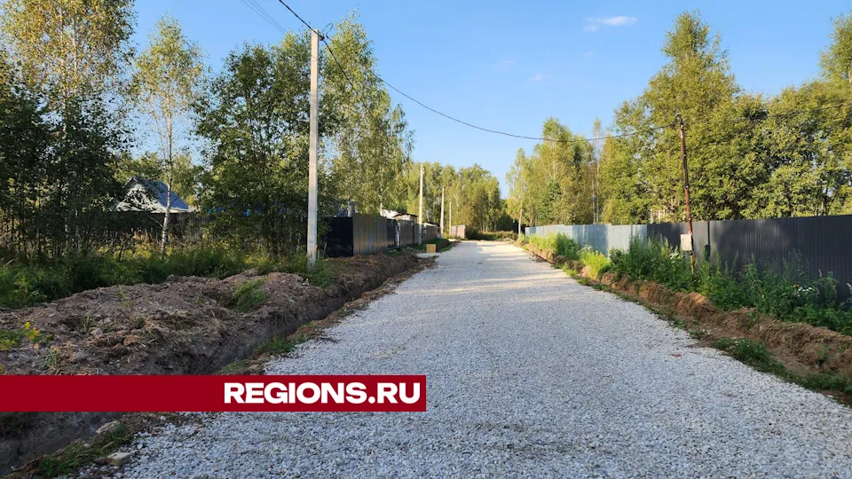 Фото: Дмитрий Алексеенко