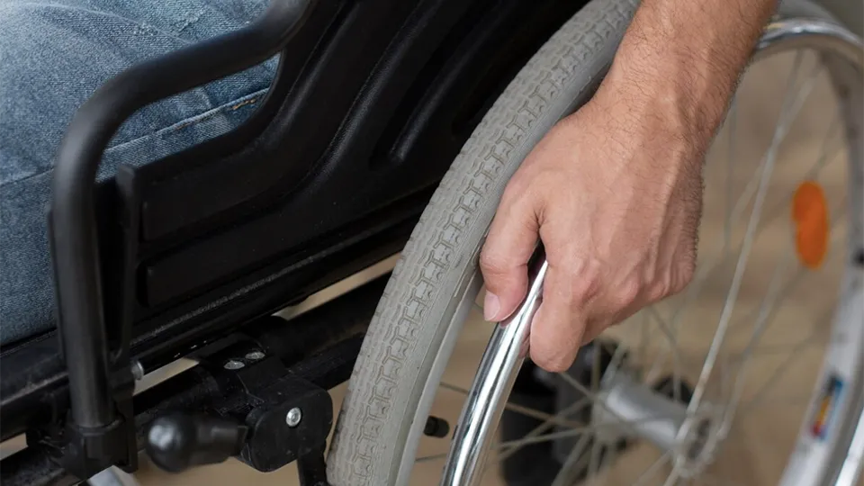 Фото: freepik.com