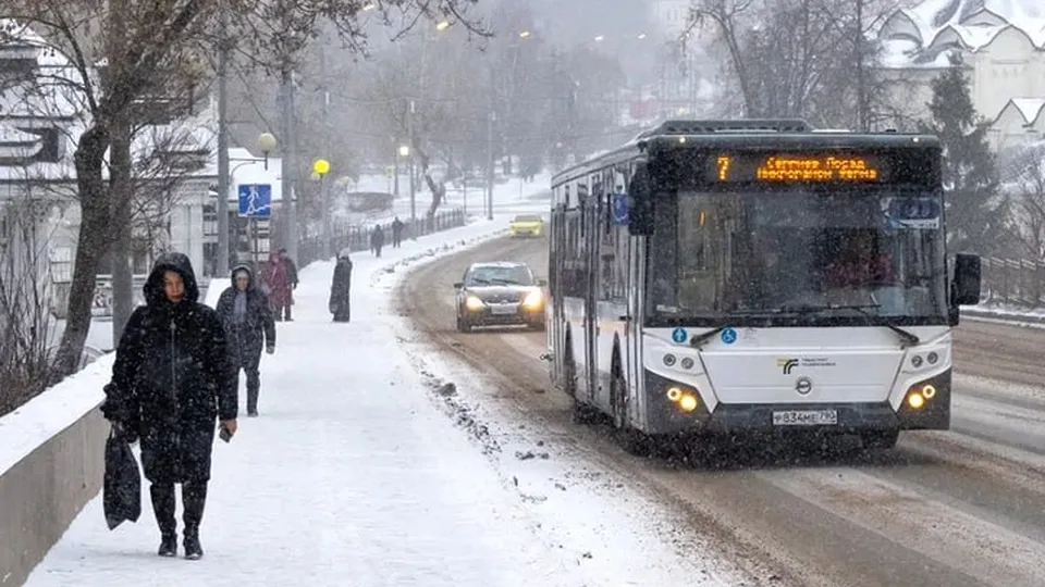 Фото: пресс-служба губернатора и правительства Московской области