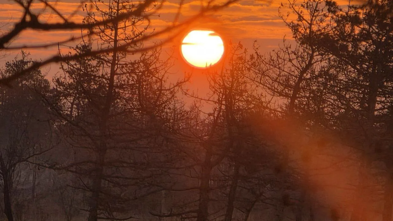 Фото: личный архив Анастасии Широкой