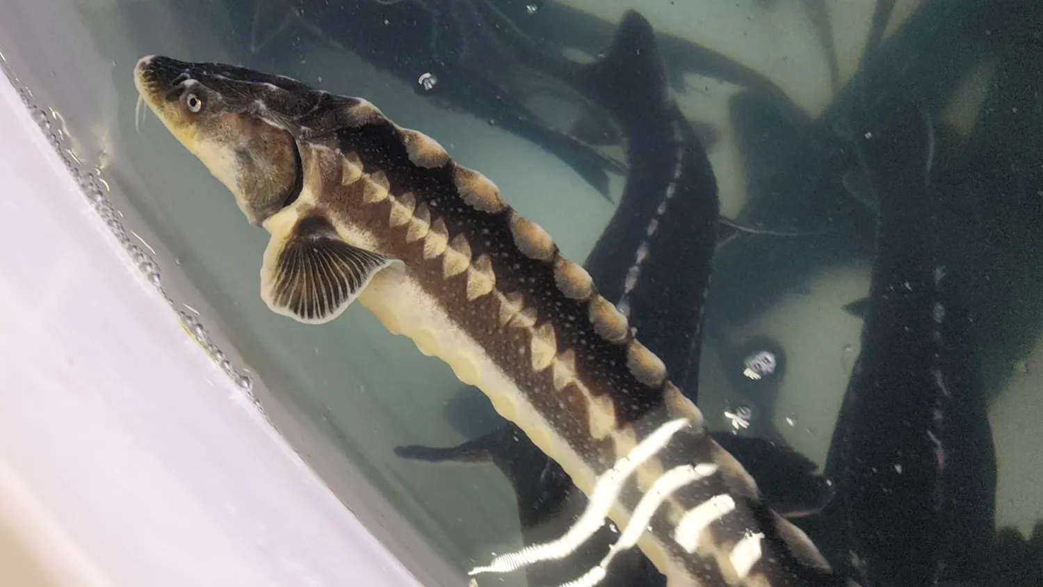 Фото: Станислав Орлов