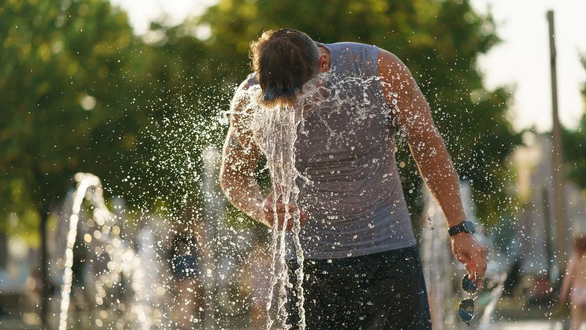 Фото: freepik.com