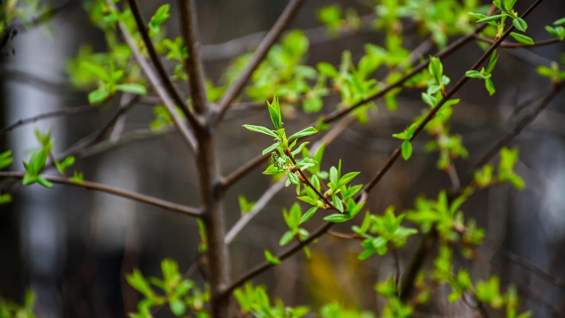 медиасток.рф