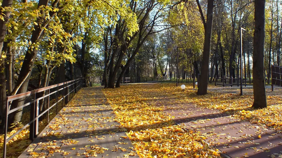 Фото: t.me/parkiLP