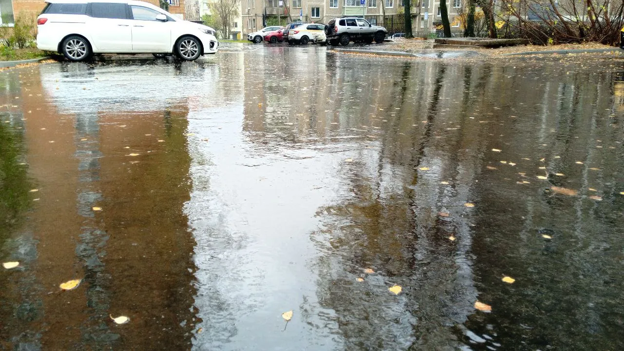 Фото: REGIONS/Василий Тремасов