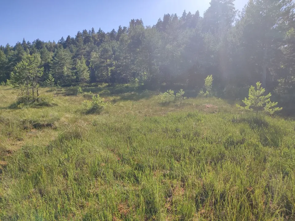 Фото:  Анна Карташева