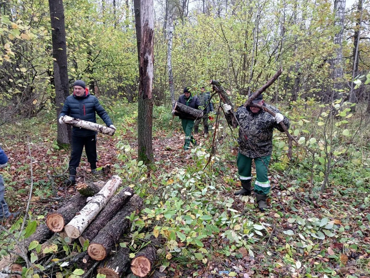 Комитет лесного хозяйства Московской области