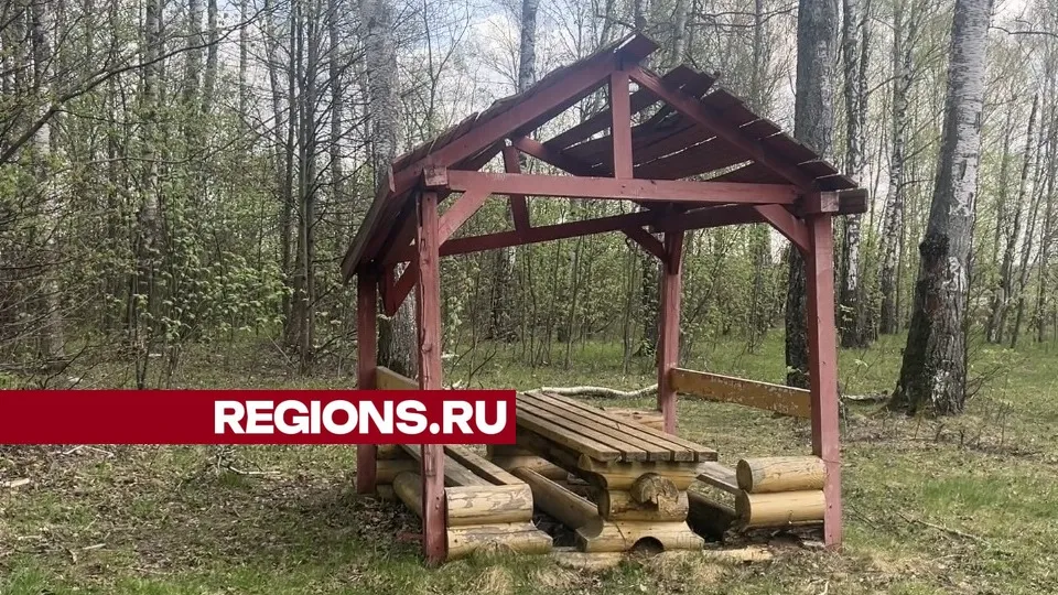 Фото: REGIONS/Валерия Ерофеева