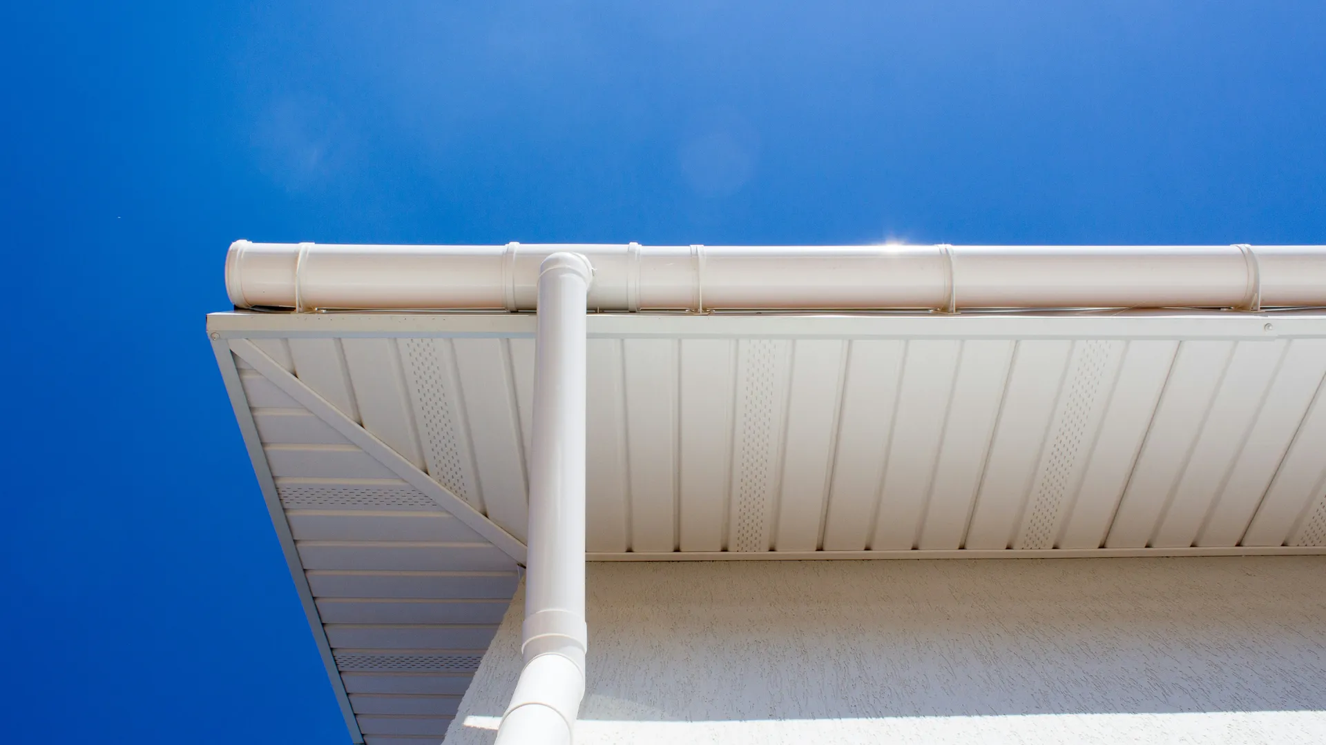 Фото: unsplash.com