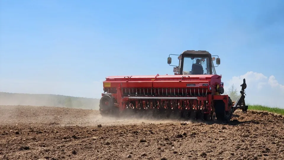 Фото: Яна Шаливская