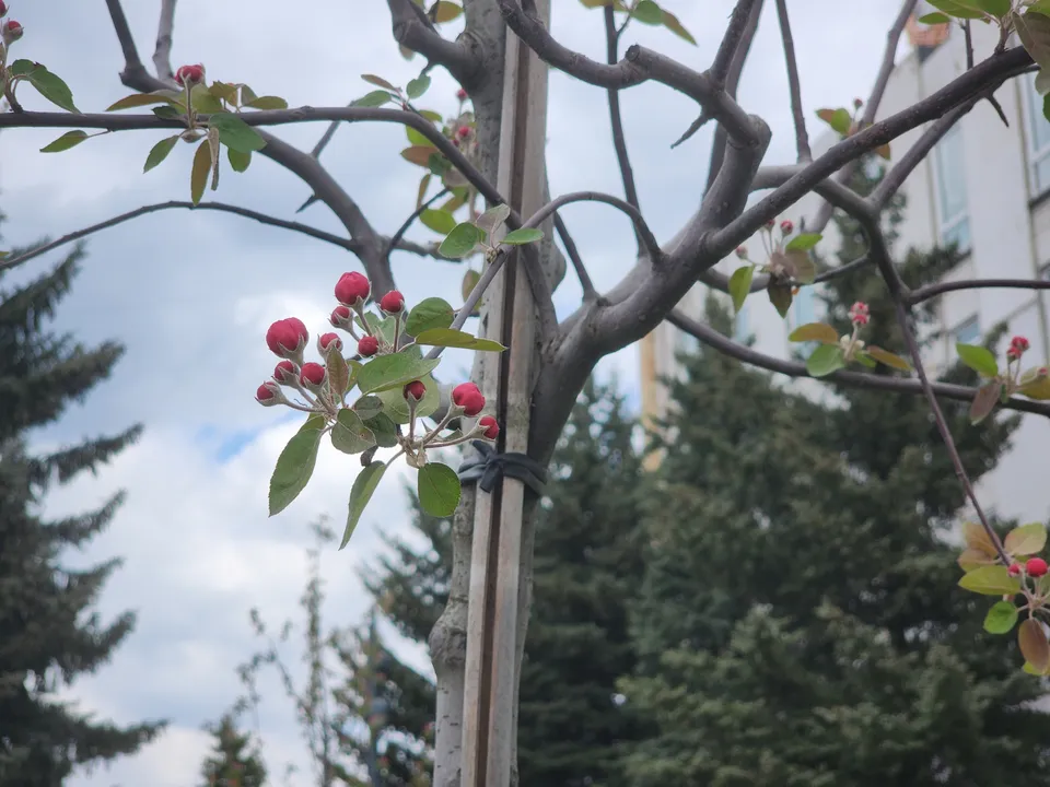 Фото: Ольга Сычева