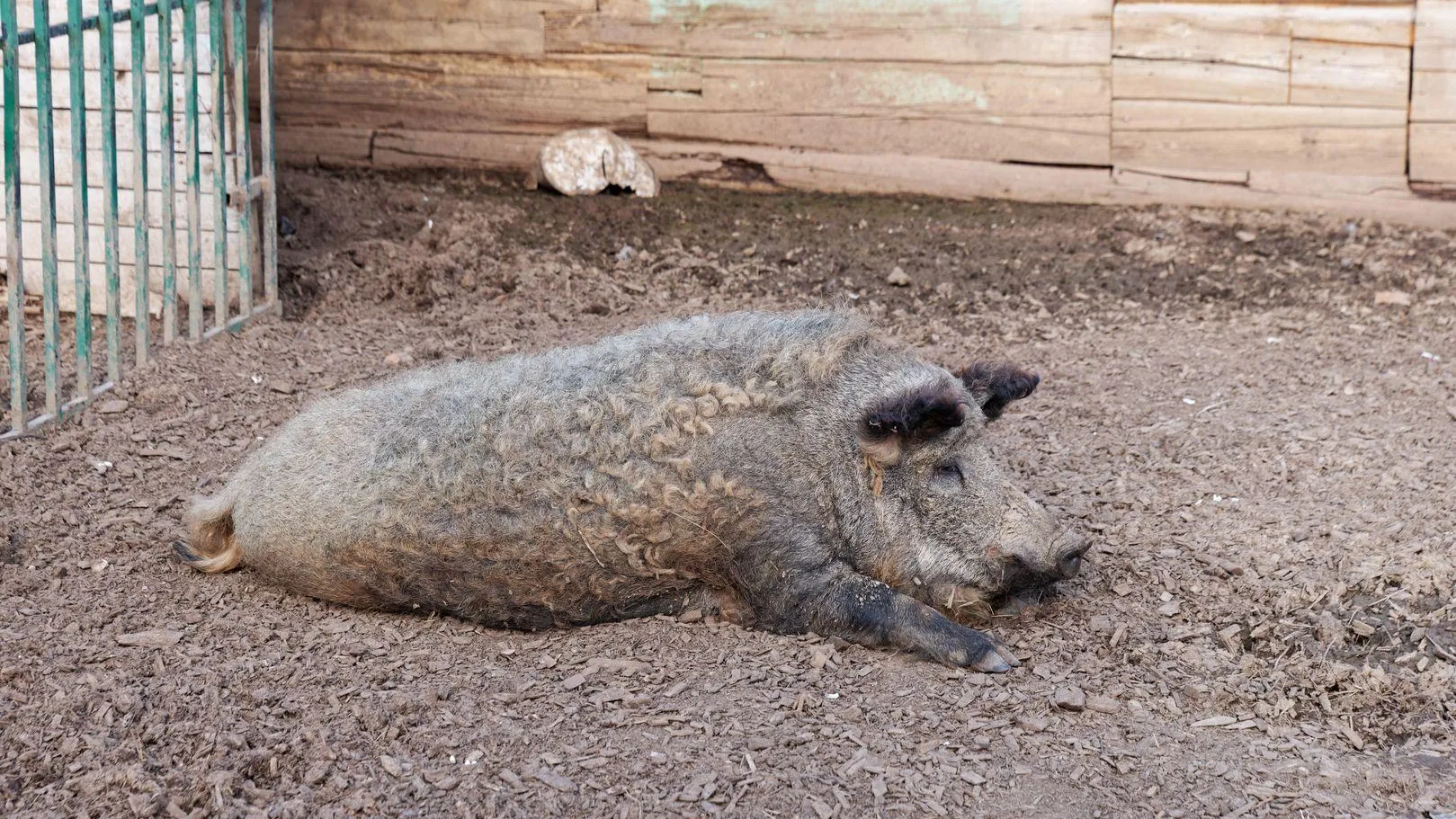 медиасток.рф