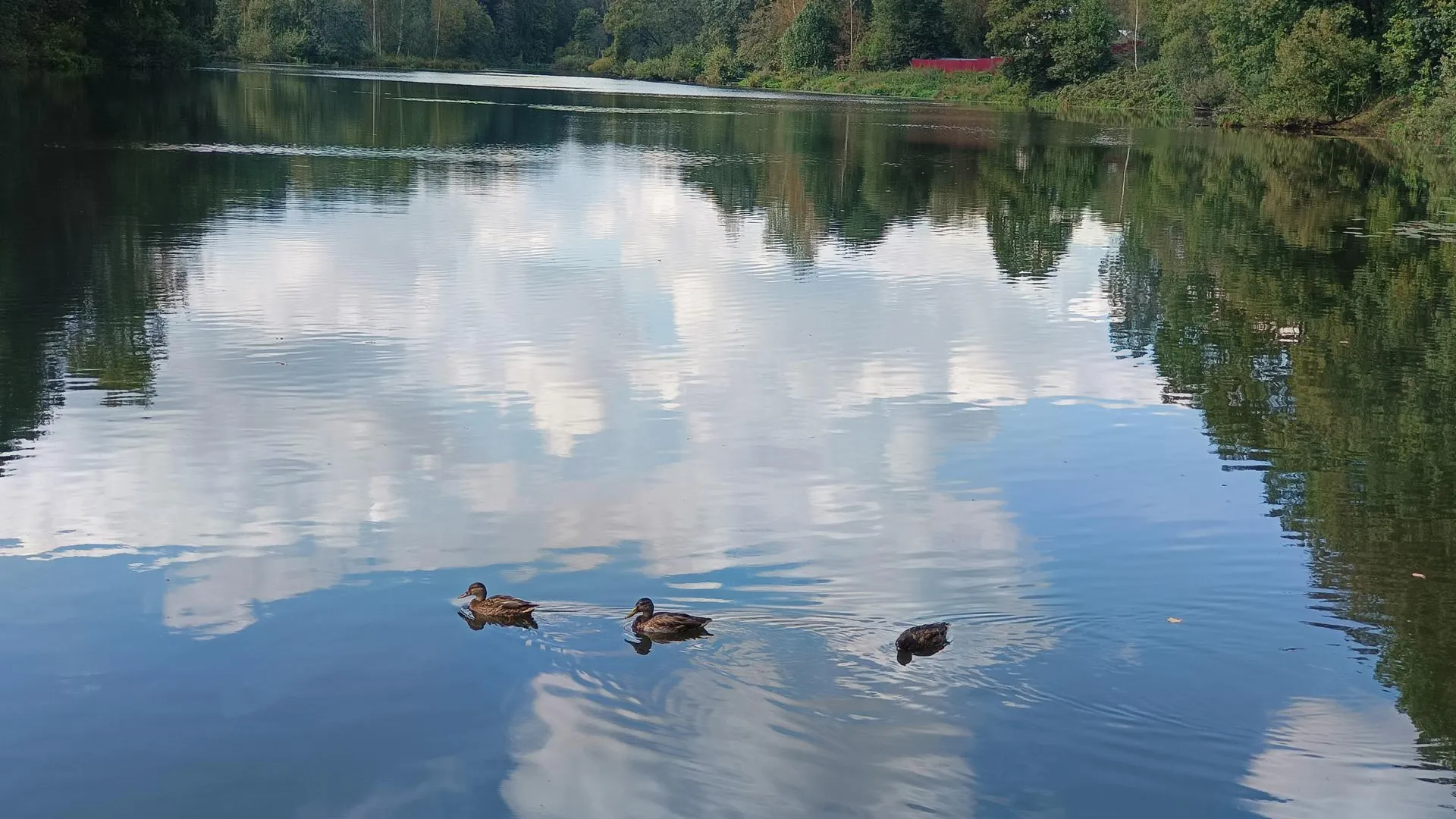 фото: Людмила Никитина