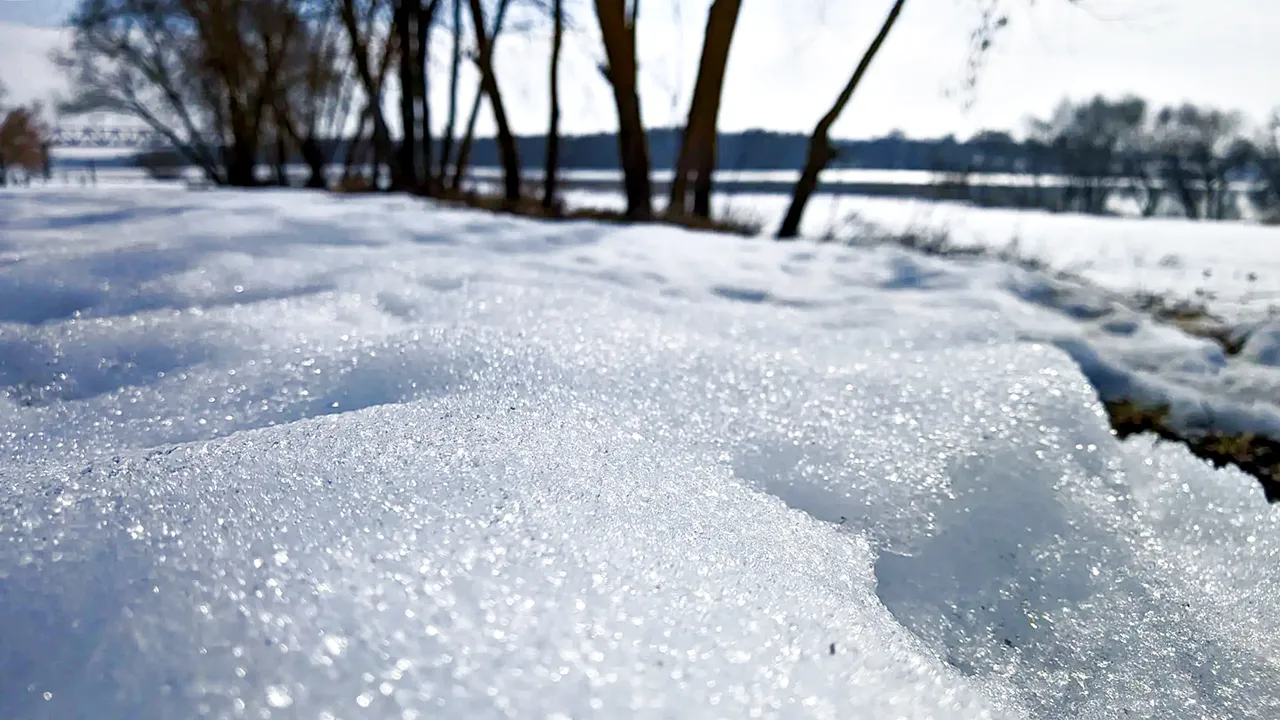 REGIONS/Алексей Селивертстов