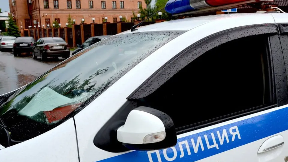 Фото: пресс-служба ОМВД России по Рузскому городскому округу