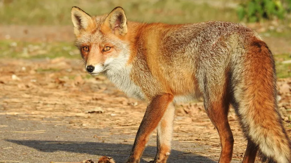 Фото: freepik.com