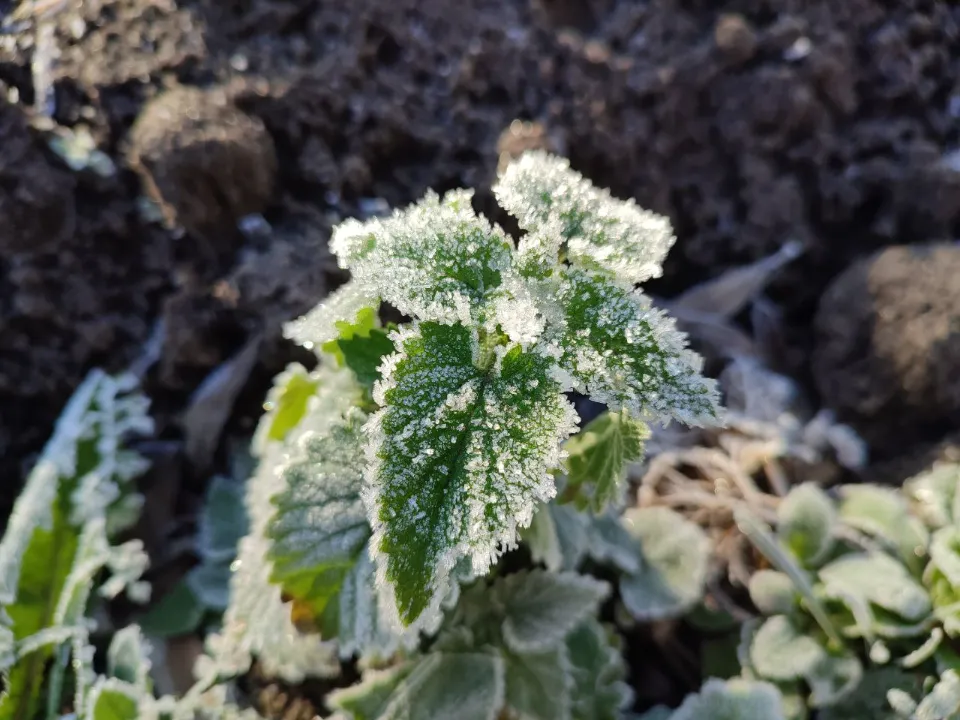 Фото: REGIONS/Елена Забелина