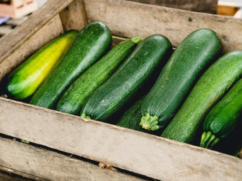 Фото: istockphoto.com