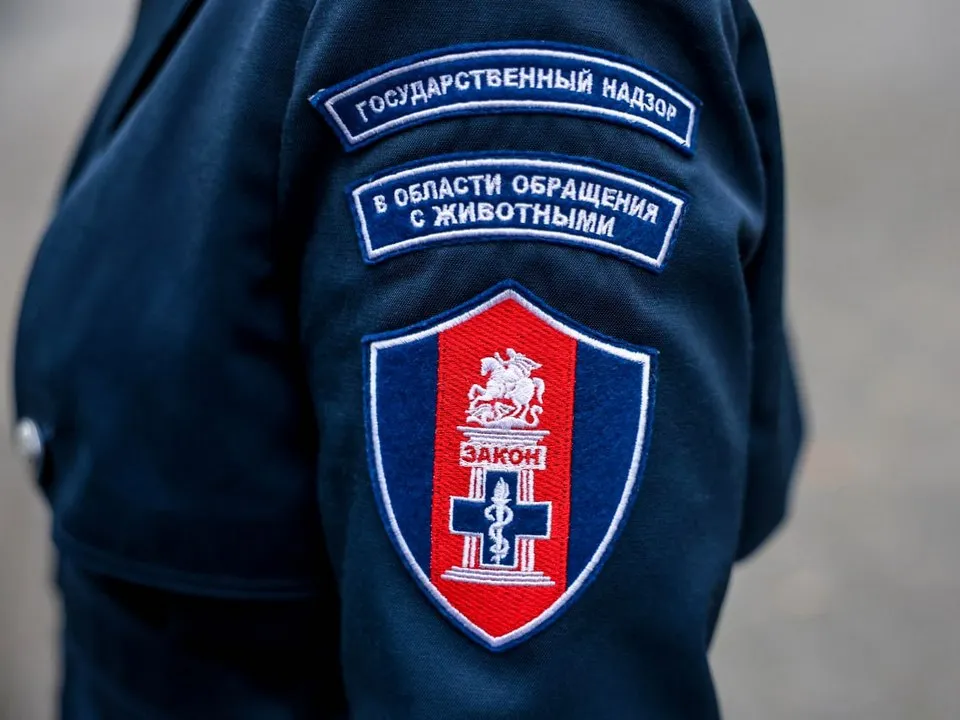 Фото: пресс-служба администрации городского округа Мытищи