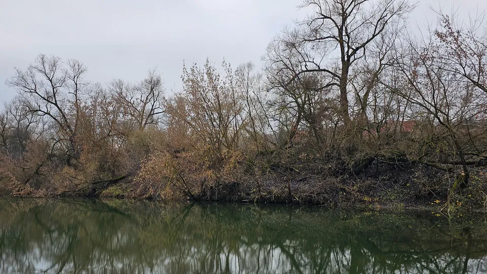 Фото: REGIONS/Александр Дрожжин