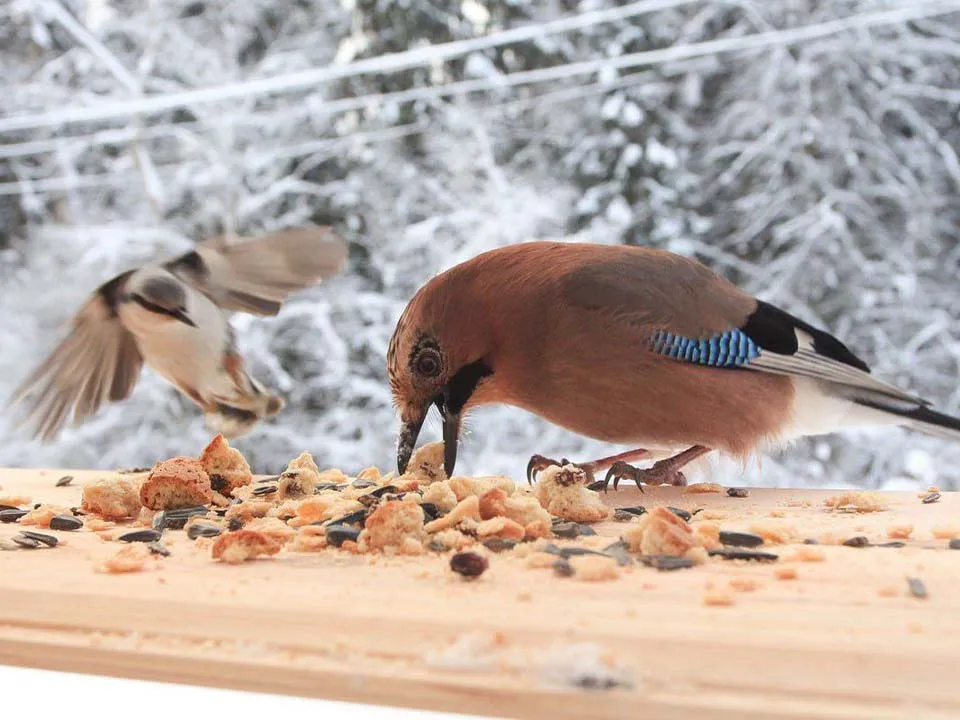 Фото: Музей-заповедник Д.И. Менделеева и А.А. Блока