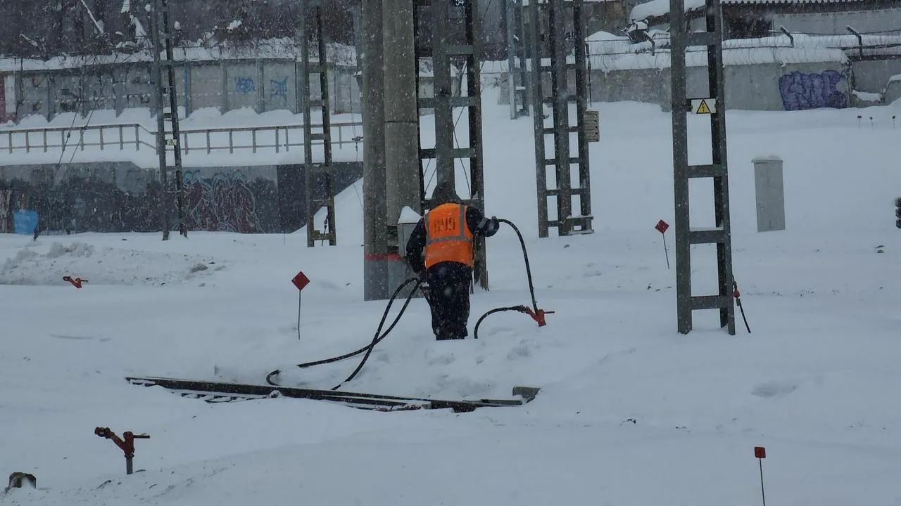 МедиаБанк Подмосковья/Валерия Исаева
