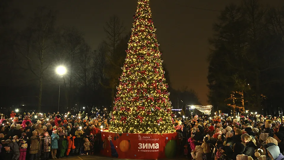 Фото: Сергей Демянюк