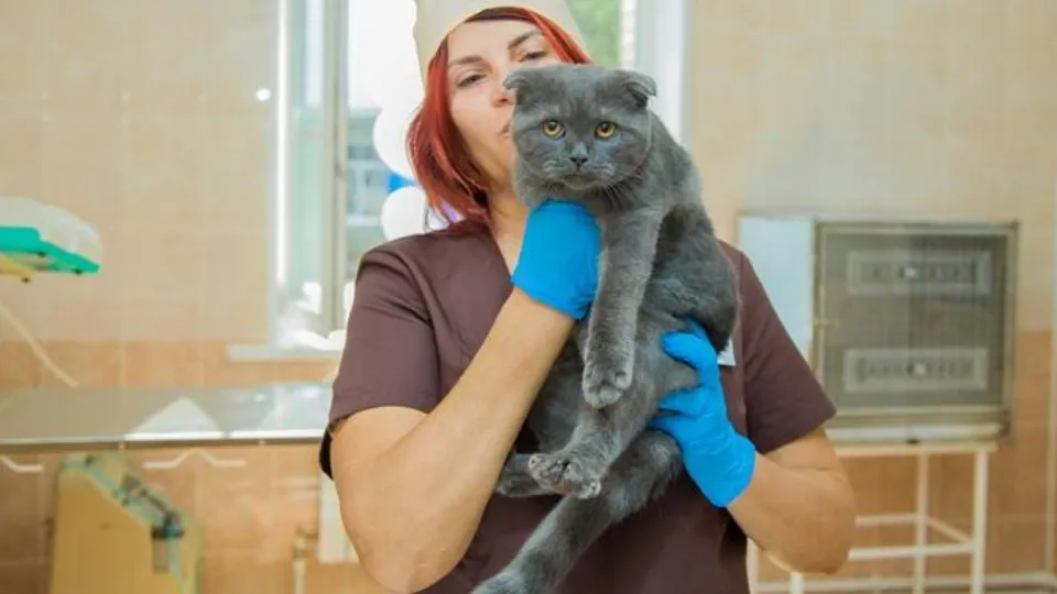 Фото: Министерство сельского хозяйства и продовольствия Московской области